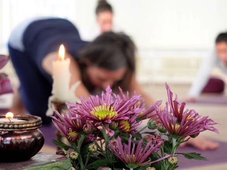 Yoga for all Levels